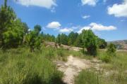 A vendre, un terrain de 3131 m2 &agrave; Anjomakely Iavoloha Antananarivo