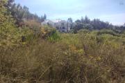 A vendre, un terrain de 800 m2 dans un lotissement à Alasora Antananarivo