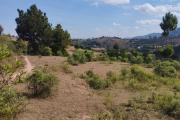 A vendre, grand terrain de 8194 m2 à 3 min de l'autoroute à Ambohimanga Antananarivo