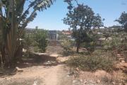 A louer un terrain de 1 500 m2 &agrave; Ilafy Andranovelona