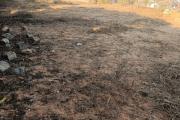 A louer un terrain de 1 500 m2 à Ilafy Andranovelona