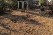 A louer un terrain de 1 500 m2 à Ilafy Andranovelona