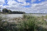 Vente de terrain de 1 525m2, 3 999m2 et de 4 186m2 pied dans l'eau à Ambohibao