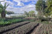 Vente de terrain de 1 525m2, 3 999m2 et de 4 186m2 pied dans l'eau à Ambohibao
