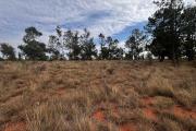 A vendre grand terrain à Imeritsiatosika