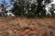 A vendre grand terrain à Imeritsiatosika