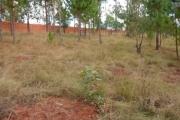 A vendre terrain de 10 000 m2 proche de la nouvelle route de Laniera