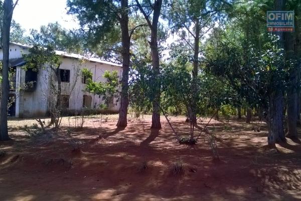 A vendre, un terrain de 3Ha55a10Ca, facile d'accès, en bord de route à Antanambao Avaratra-Antananarivo
