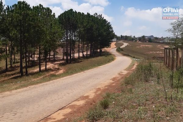 Terrain de 1343 m2 à Manazary Ilafy