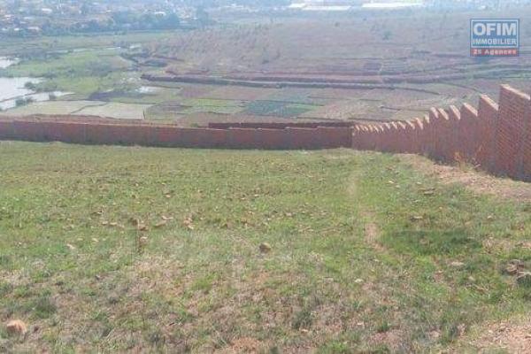 Terrain 2HA 13A 05 CA entièrement clôturé à Akarana Ambohimanambola- Antananarivo