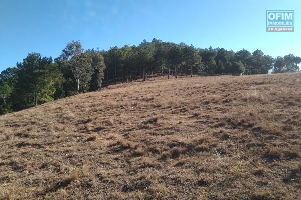 Terrain de 1HA 6 A 07 CA à Ambatomirahavavy- Antananarivo