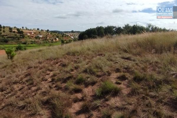 A vendre, un grand terrain de 2HA 45 A 63CA à Betsizaraina Ambatomandeha - Antananarivo