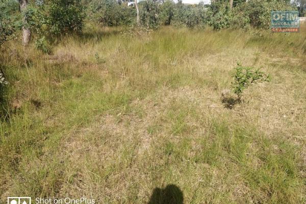 A vendre beau terrain de 1680m2 sur la RN3