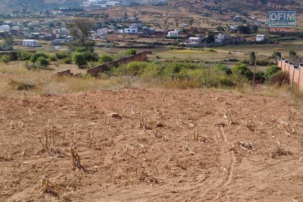 Beau terrain de 300 m2, bon voisinage, belle vue, facile d'accès à Ambohijanaka- Antananarivo