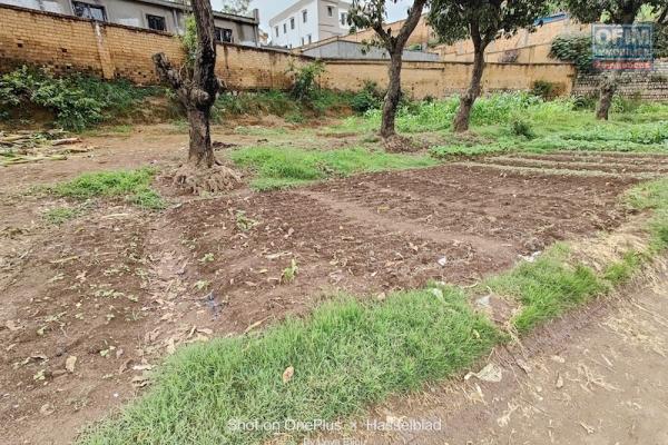 a vendre beau terrain de 2000 M2 morcelable à ivato ( non disponible )