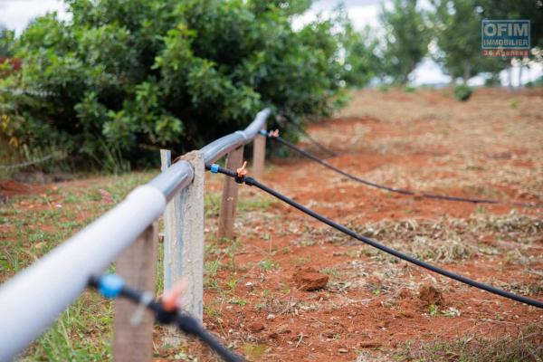 Une grande propriété de 1 Ha77a  50ca à Ambohimanambola Masindray- Antananarivo