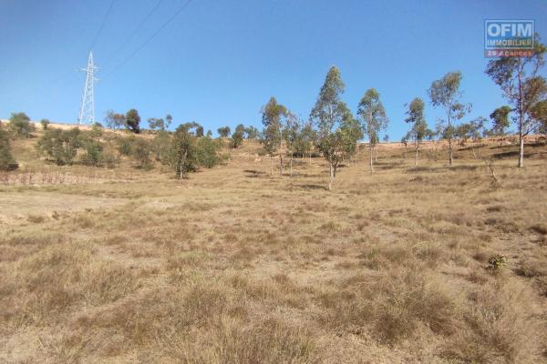 A vendre,PRIX EN BAISSE!!! grand terrain de 9958 m2en bord de route principale sur Fenoarivo Morarano- Antananarivo