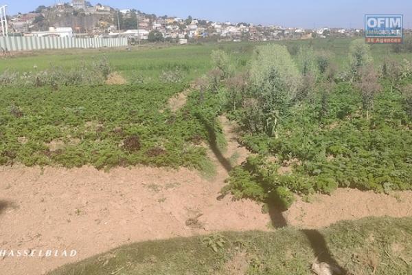A vendre terrain de 1000 M2 à Andranomena contact 0340244301 MR Lova