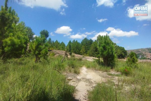 A vendre, un terrain de 3131 m2 &agrave; Anjomakely Iavoloha Antananarivo