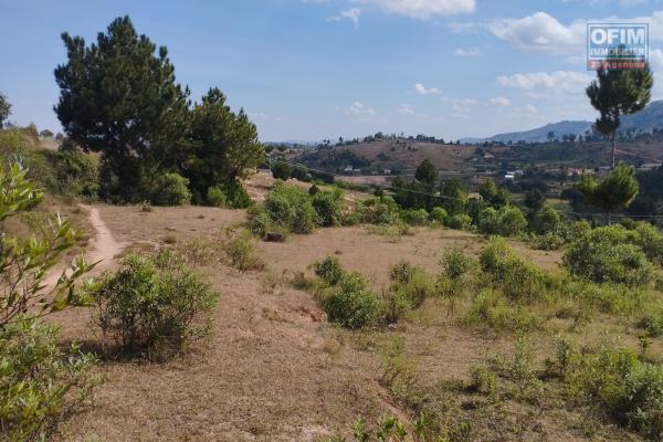 A vendre, grand terrain de 8194 m2 &agrave; 3 min de l'autoroute &agrave; Ambohimanga Antananarivo