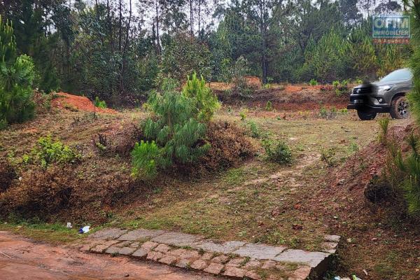 Opportunité rare à Mantasoa un terrain de 600 m2 à vendre avec vue sur le lac dans un quartier résidentiel et paisible.