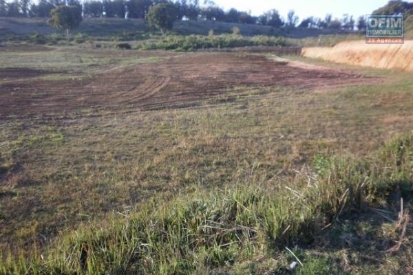 A vendre beau terrain de 22 000 m2 à ivato