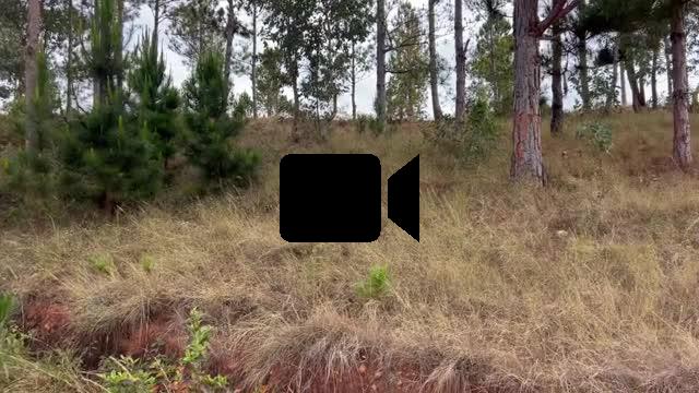 A vendre grand terrain à Imeritsiatosika